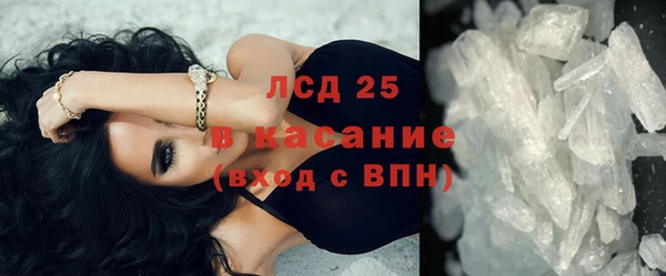 стаф Ростов