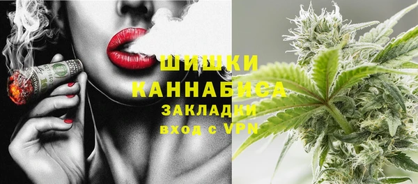 стаф Ростов