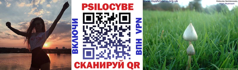 гидра вход  Бобров  Псилоцибиновые грибы прущие грибы 
